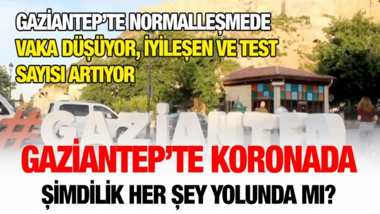 Gaziantep’te normalleşmede vaka düşüyor, iyileşen ve test sayısı artıyor... Gaziantep’te koronada şimdilik her şey yolunda mı?