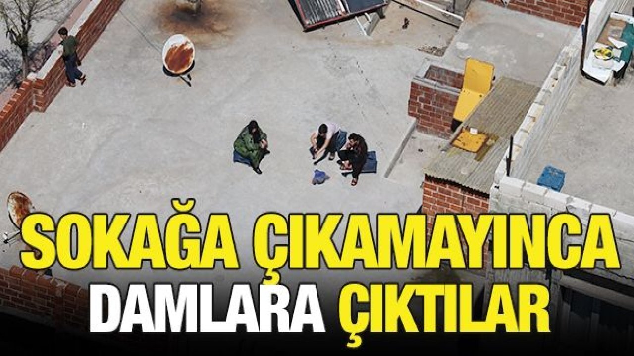 Sokağa çıkamayınca damlara çıktılar