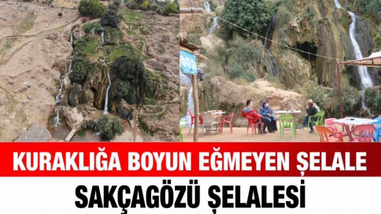 Kuraklığa boyun eğmeyen şelale