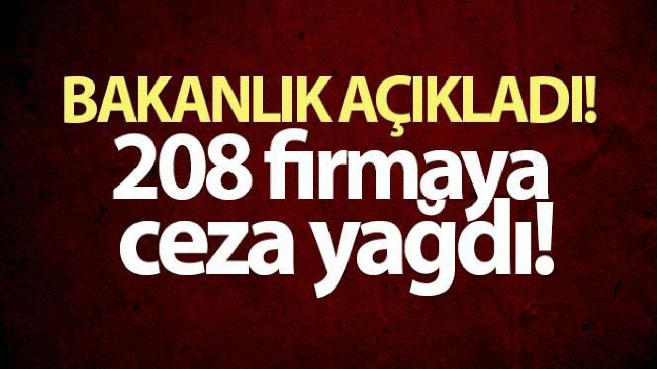 Fahiş fiyat artışı yapan 208 firmaya ceza kesildi!