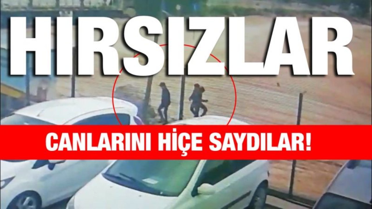 Hırsızlık uğruna canlarını hiçe saydılar