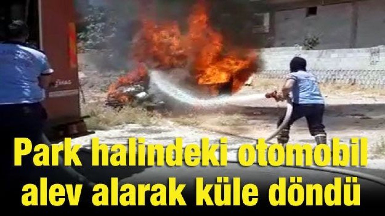 Park halindeki otomobil alev alarak küle döndü