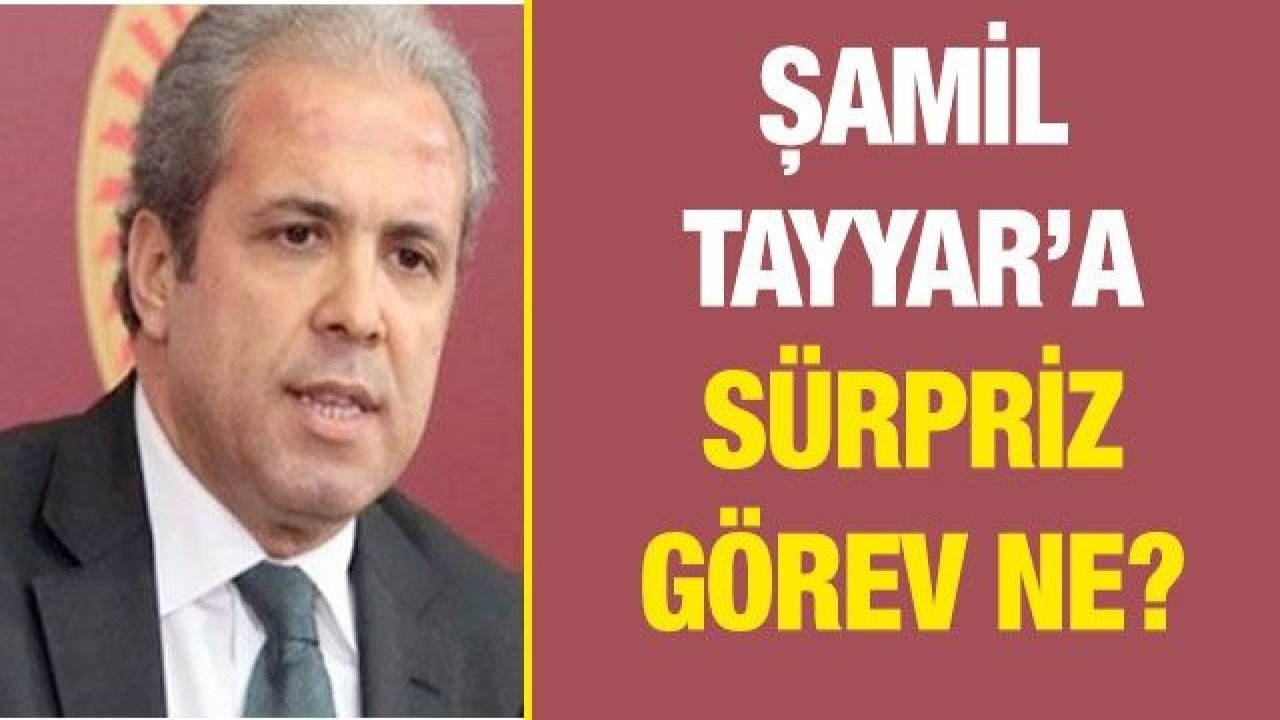 Şamil Tayyar’a sürpriz görev ne?