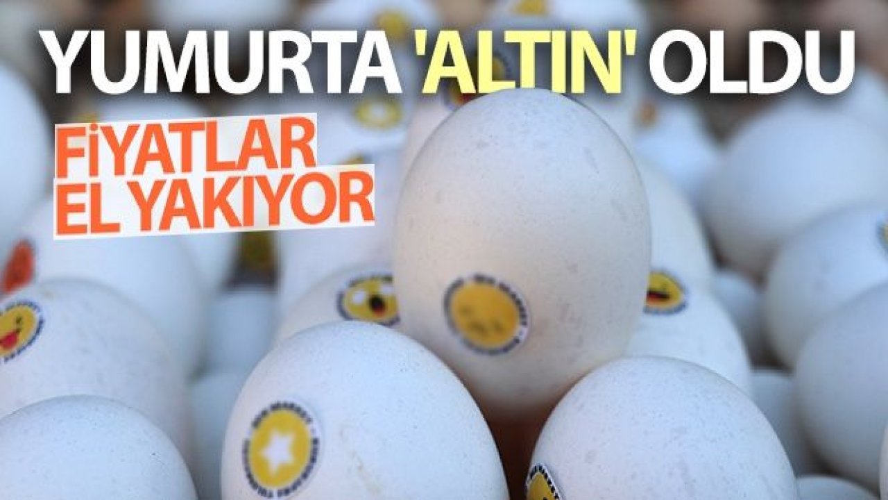 Yumurta 'altın' oldu