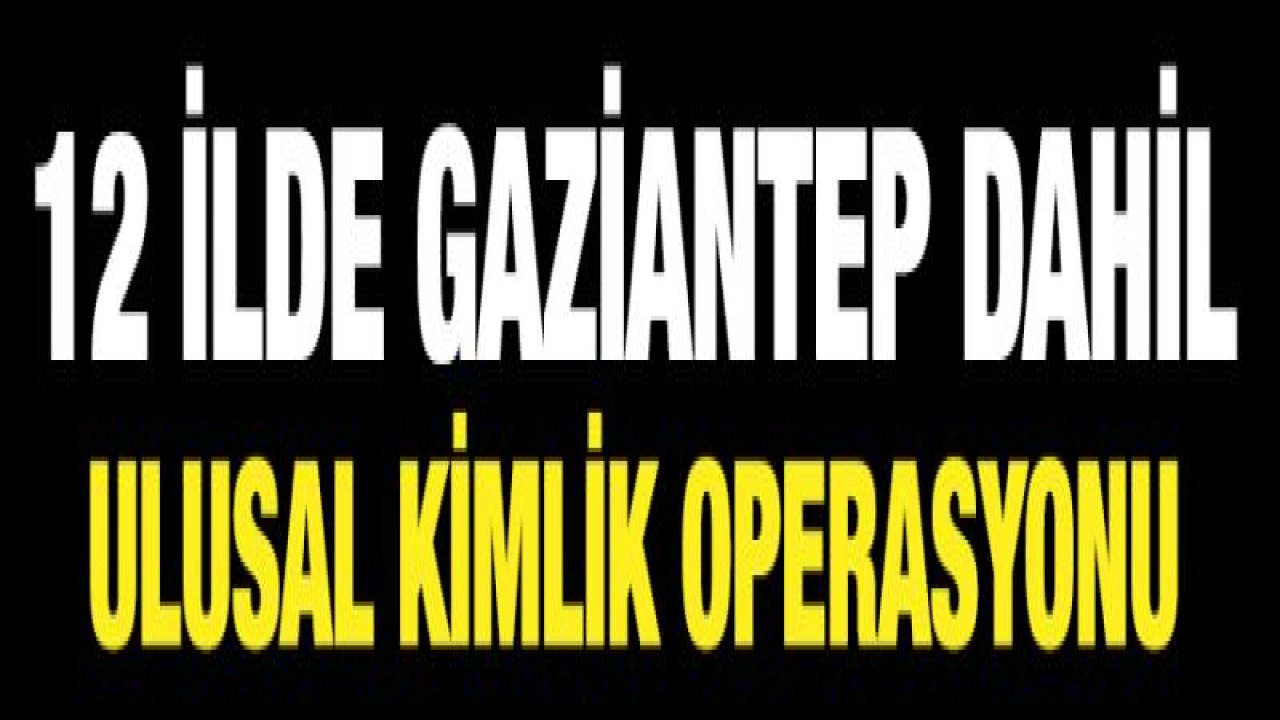 12 ilde ulusal kimlik operasyonu: 28 gözaltı