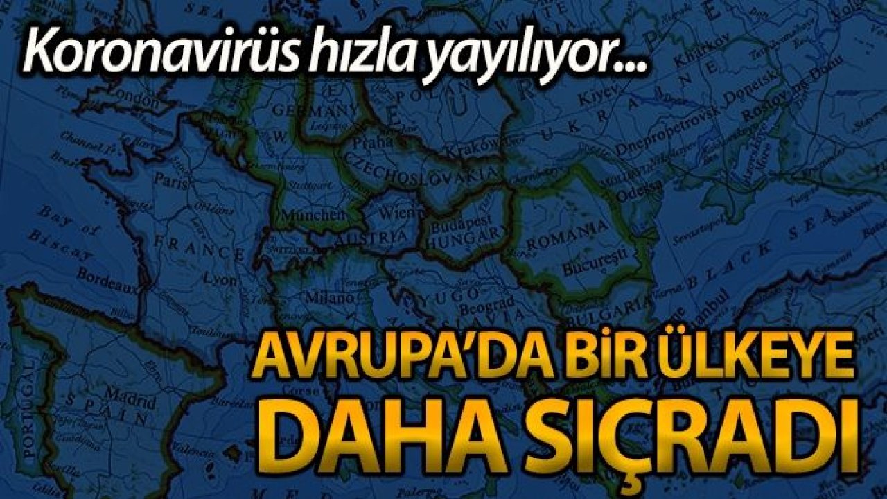 İsviçre'de ülkede ilk korona virüsü vakasına rastlandığı duyuruldu.