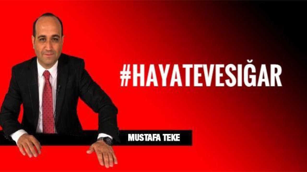 #HAYATEVESIĞAR