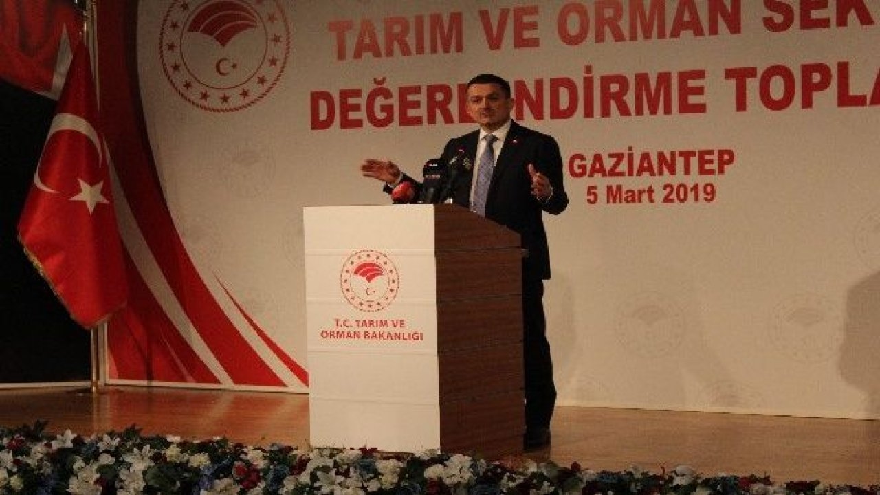 Bakan Pakdemirli: '2-3 yıl içinde kırmızı eti ihraç edecek duruma geleceğiz'