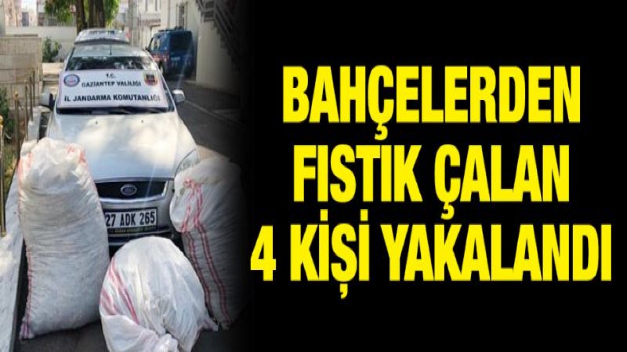 Bahçelerden fıstık çalan 4 kişi yakalandı