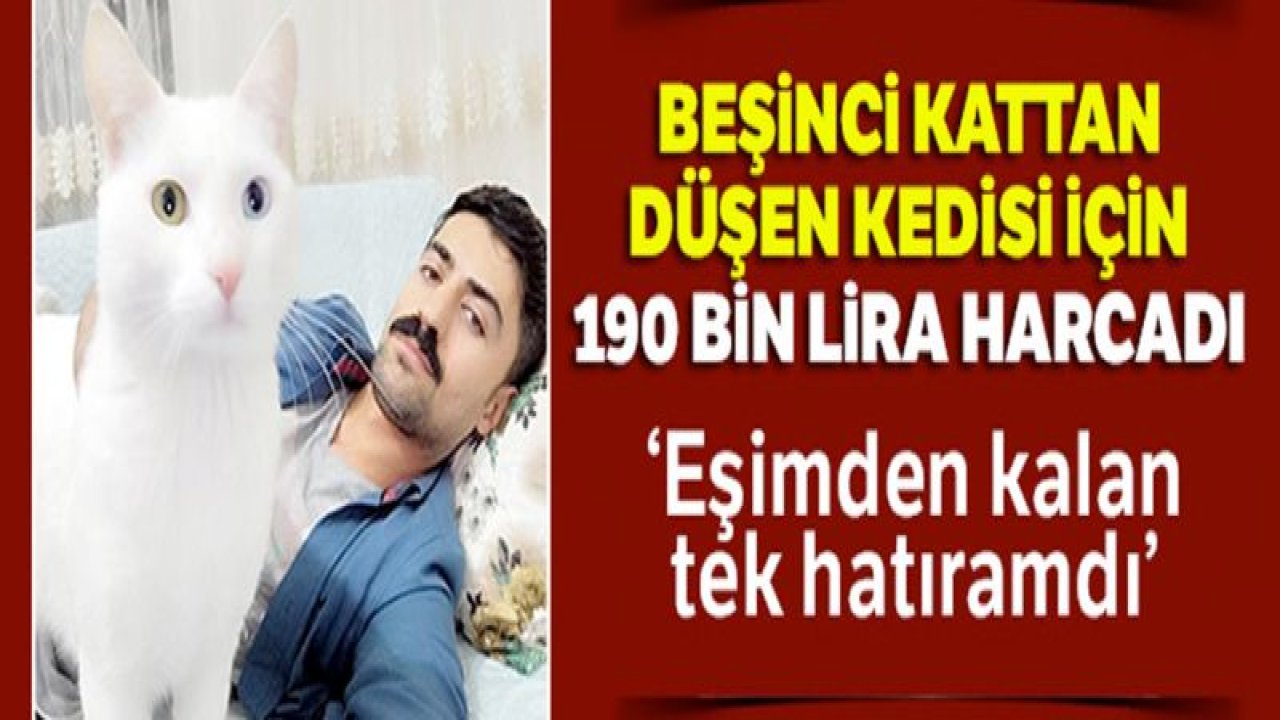 Beşinci kattan düşen kedisi için 190 bin lira harcadı