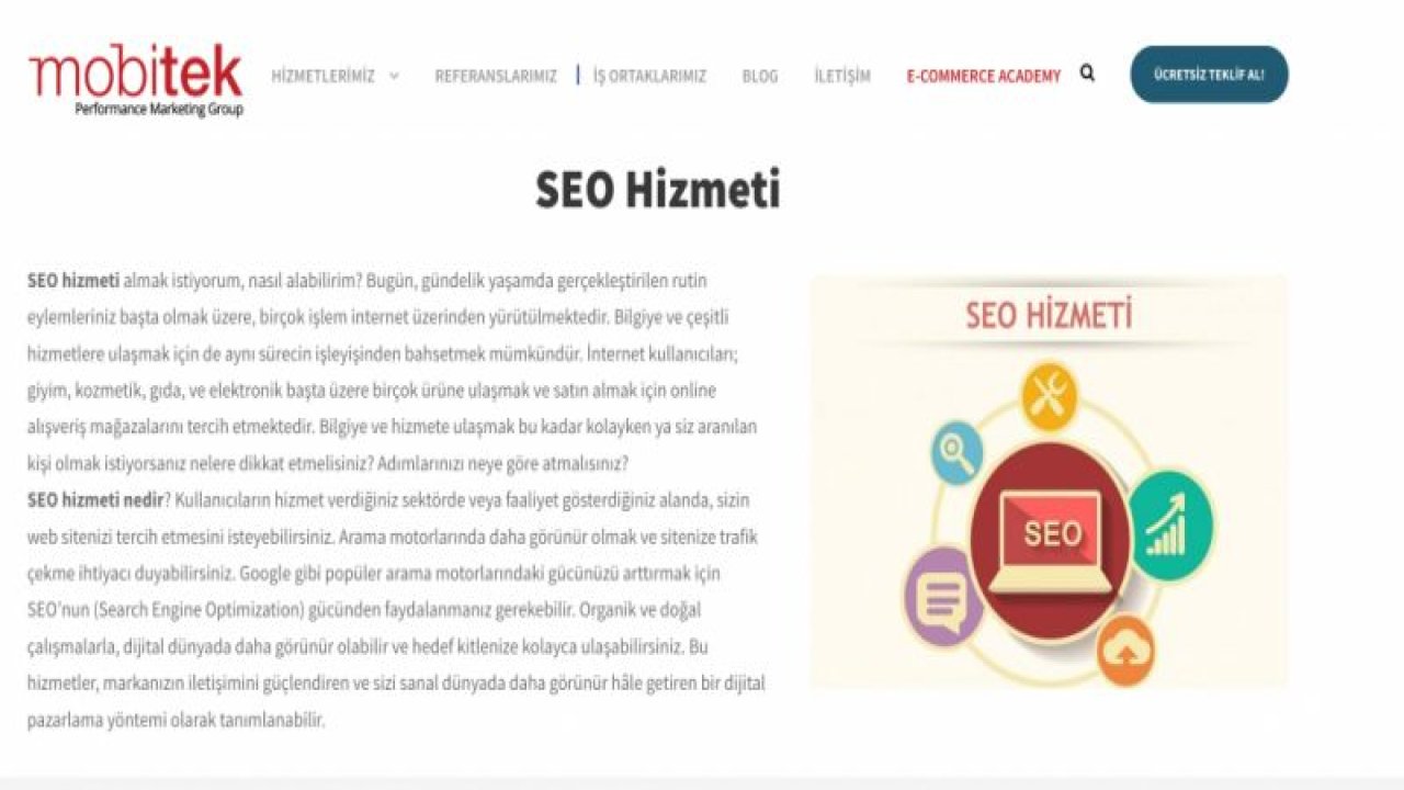 Profesyonel SEO Hizmeti