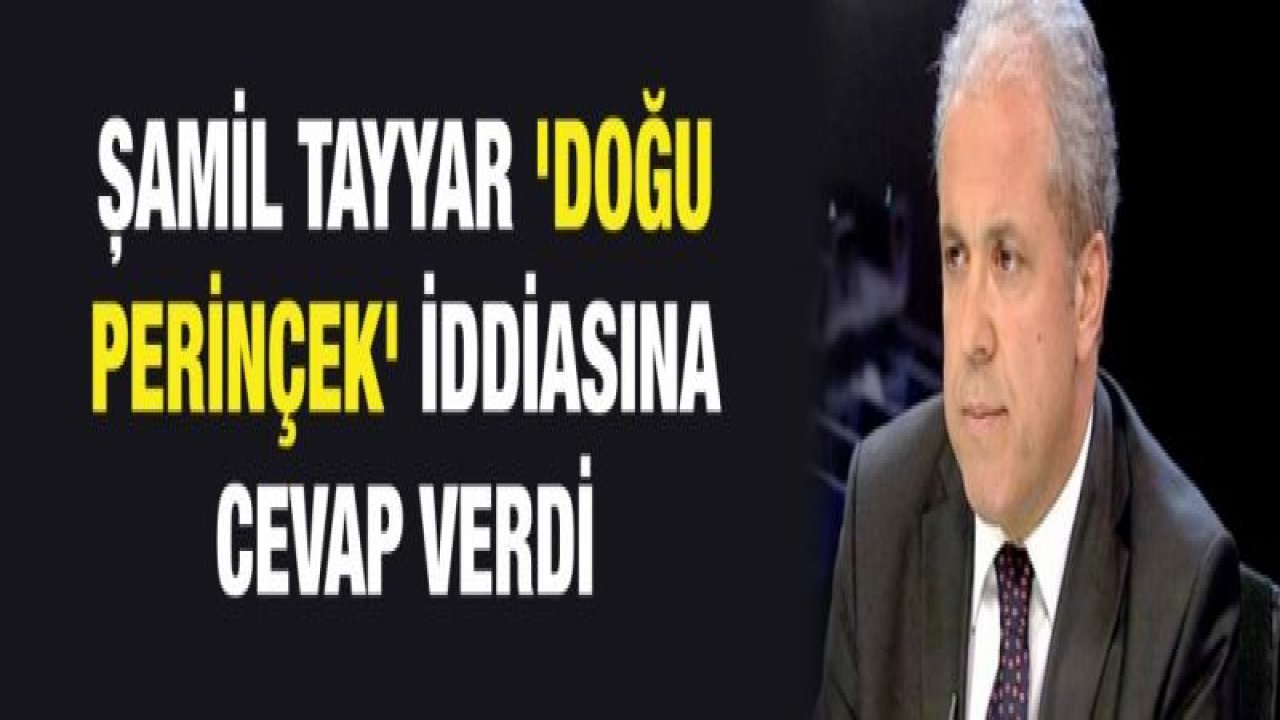 Şamil Tayyar 'Doğu Perinçek' iddiasına cevap verdi