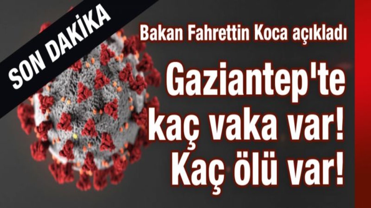 Gaziantep'te kaç vaka var! Kaç ölü var!