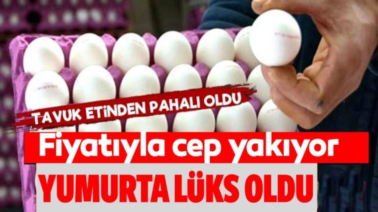 Yumurtanın Fiyatı Tavuk Etini Solladı!  İki yumurta kırıp yemek,lüks oluyor... Yumurtanın 30'lu paket fiyatı tavuk fiyatlarını geride bıraktı artık kıyma fiyatıyla yarışıyor.