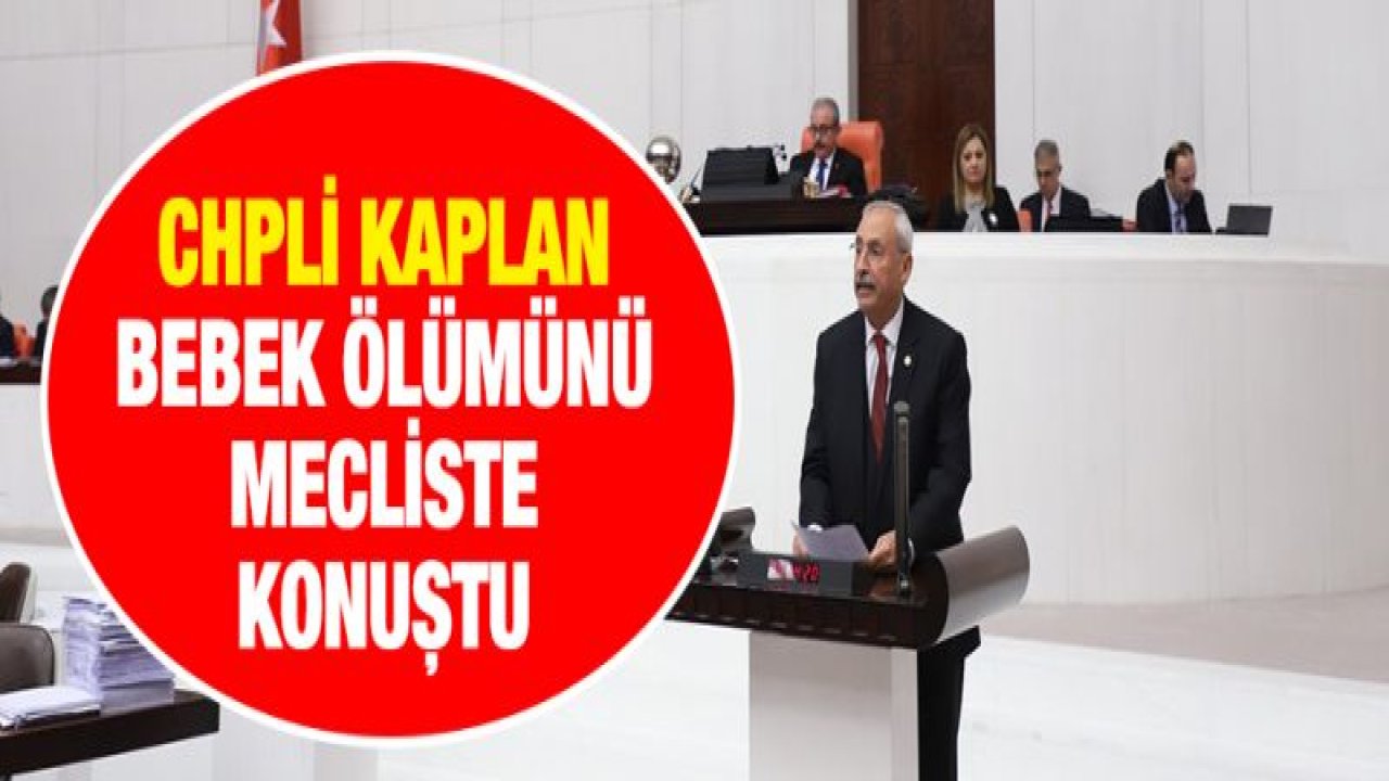 Kaplan, artan bebek ölümlerini TBMM gündemine taşıdı