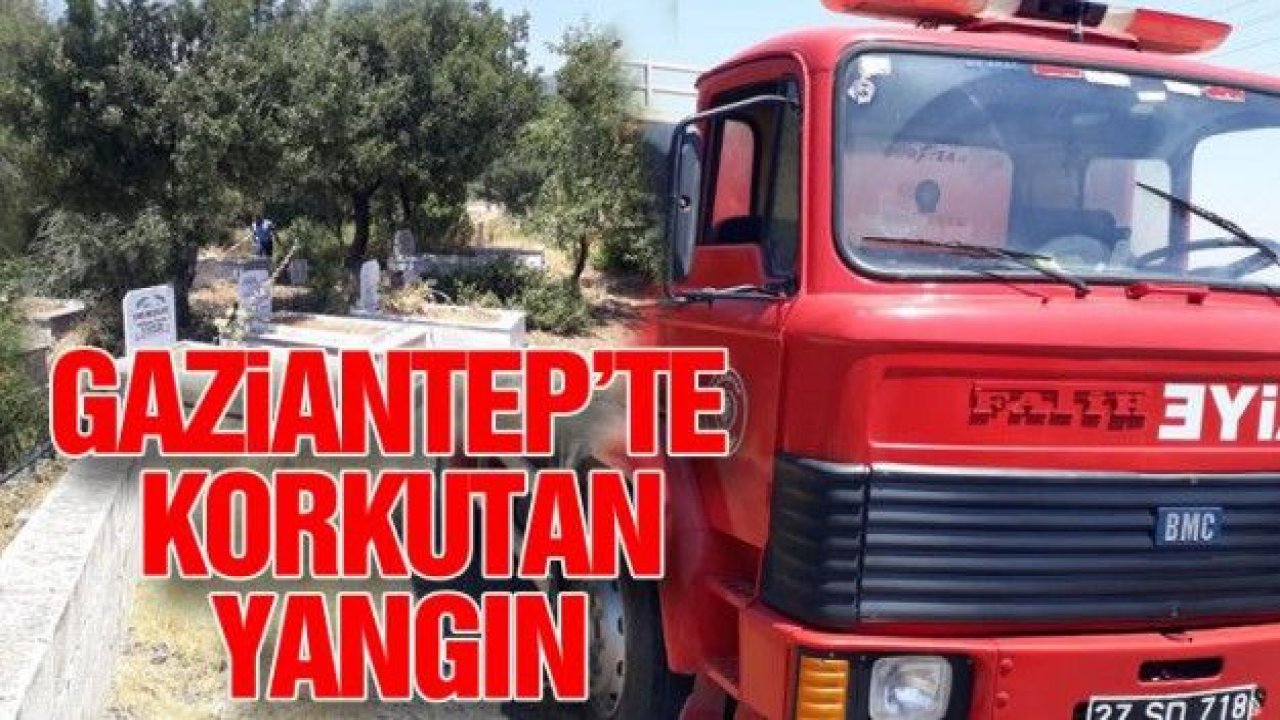 Gaziantep'te arazi yangını