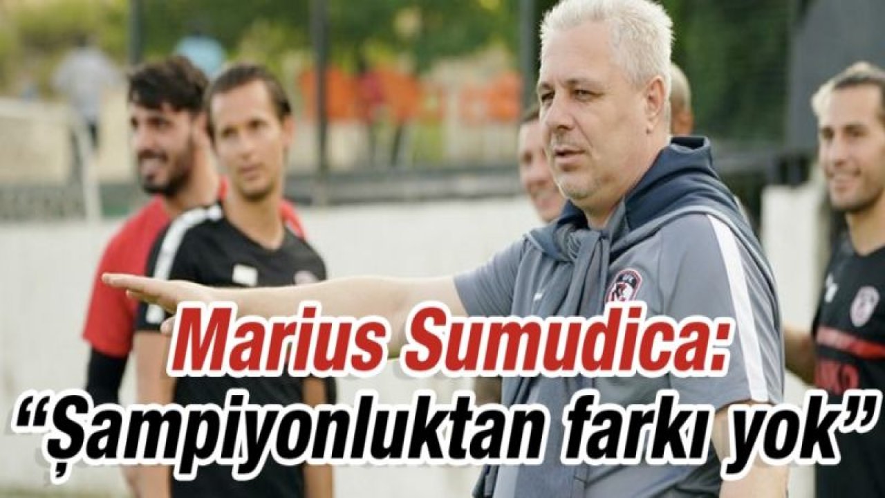 Marius Sumudica: