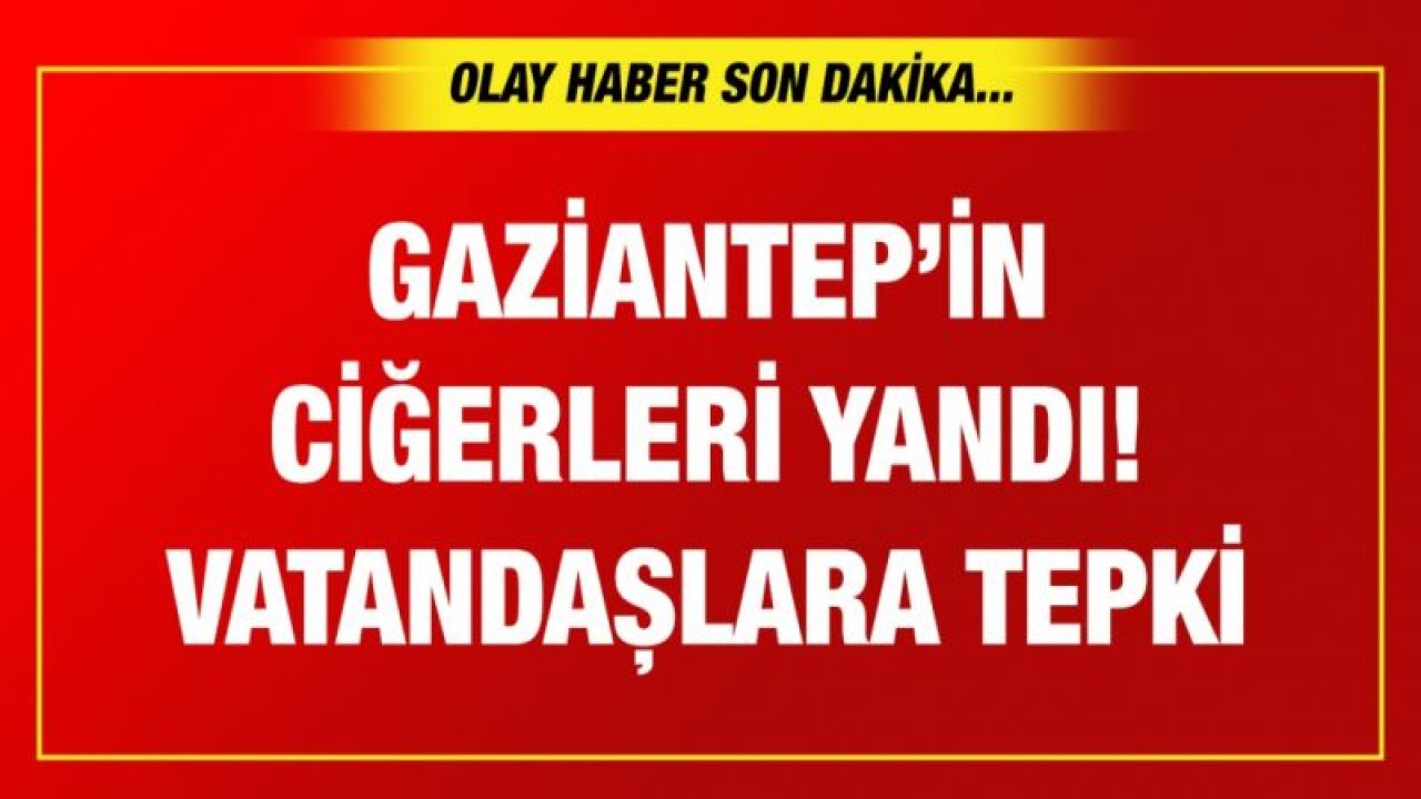 Gazintep’te orman yangınları! Vatandaşlardan tepki