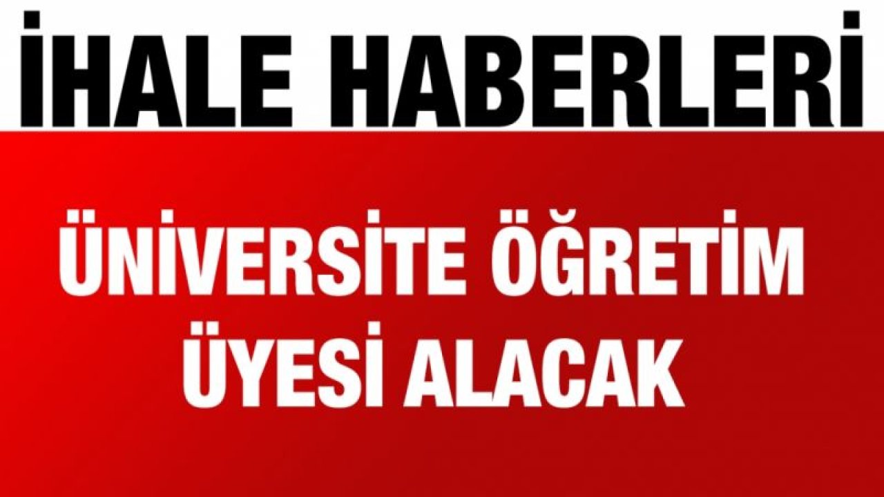 Üniversite öğretim üyesi alacak