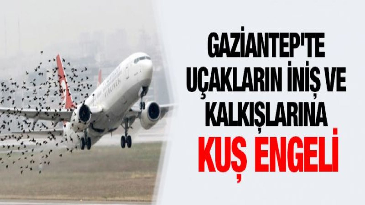 Gaziantep'te uçakların iniş ve kalkışlarına kuş engeli