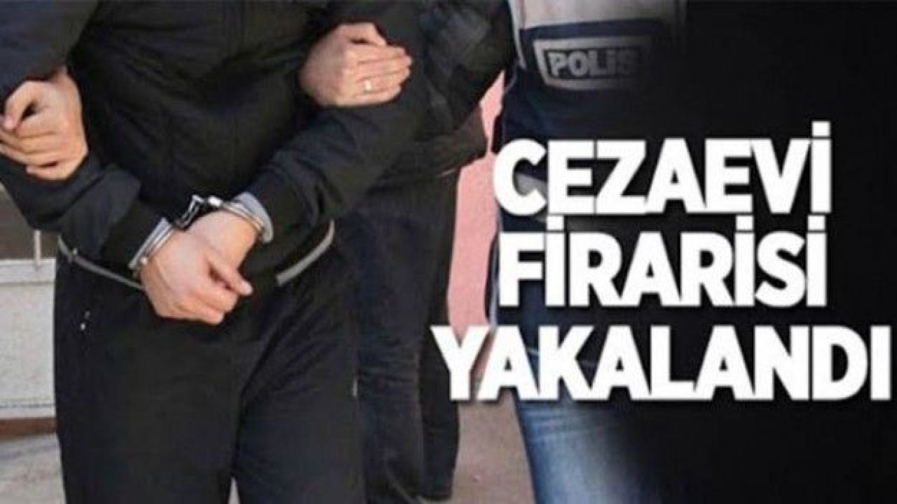 Cezaevi firarisi zeytin bahçesinde yakalandı!