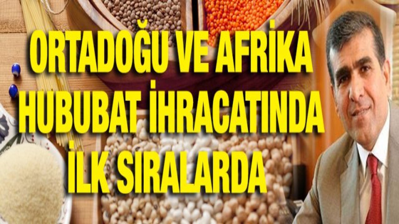 Ortadoğu ve Afrika'nın hububatı Güneydoğu'dan