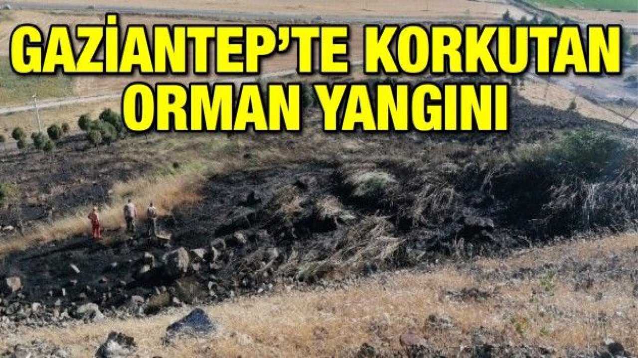 Nurdağı'nda orman yangını