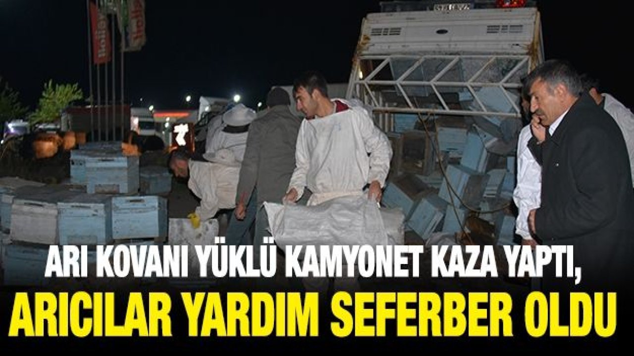 Arı kovanı yüklü kamyonet kaza yaptı, arıcılar yardım için seferber oldu