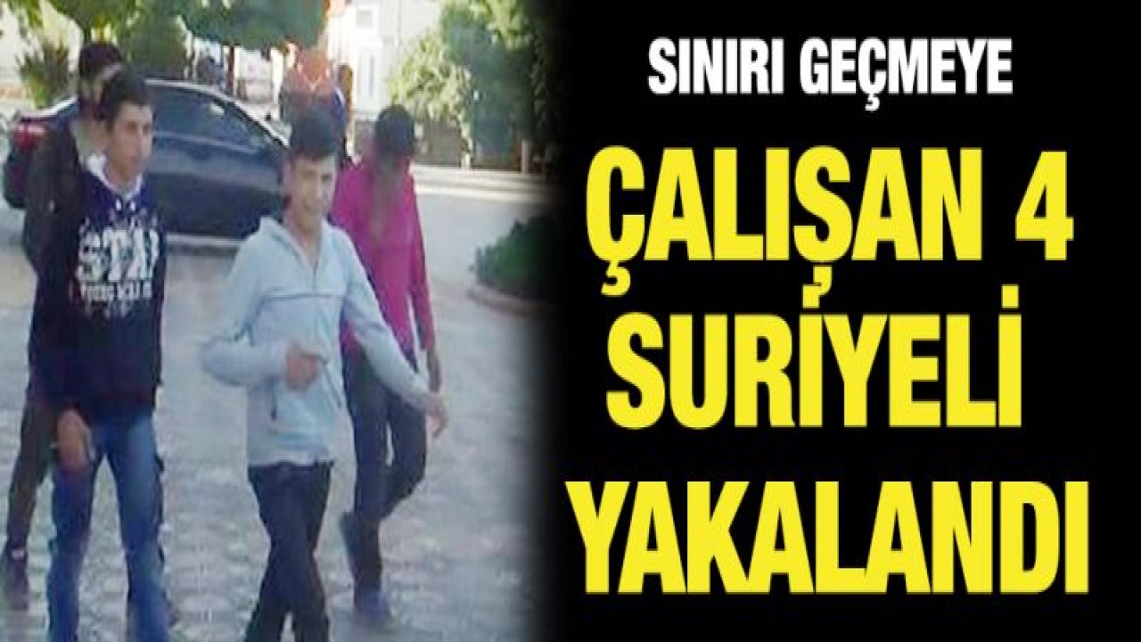 Türkiye'ye geçmeye çalışan 4 Suriyeli yakalandı