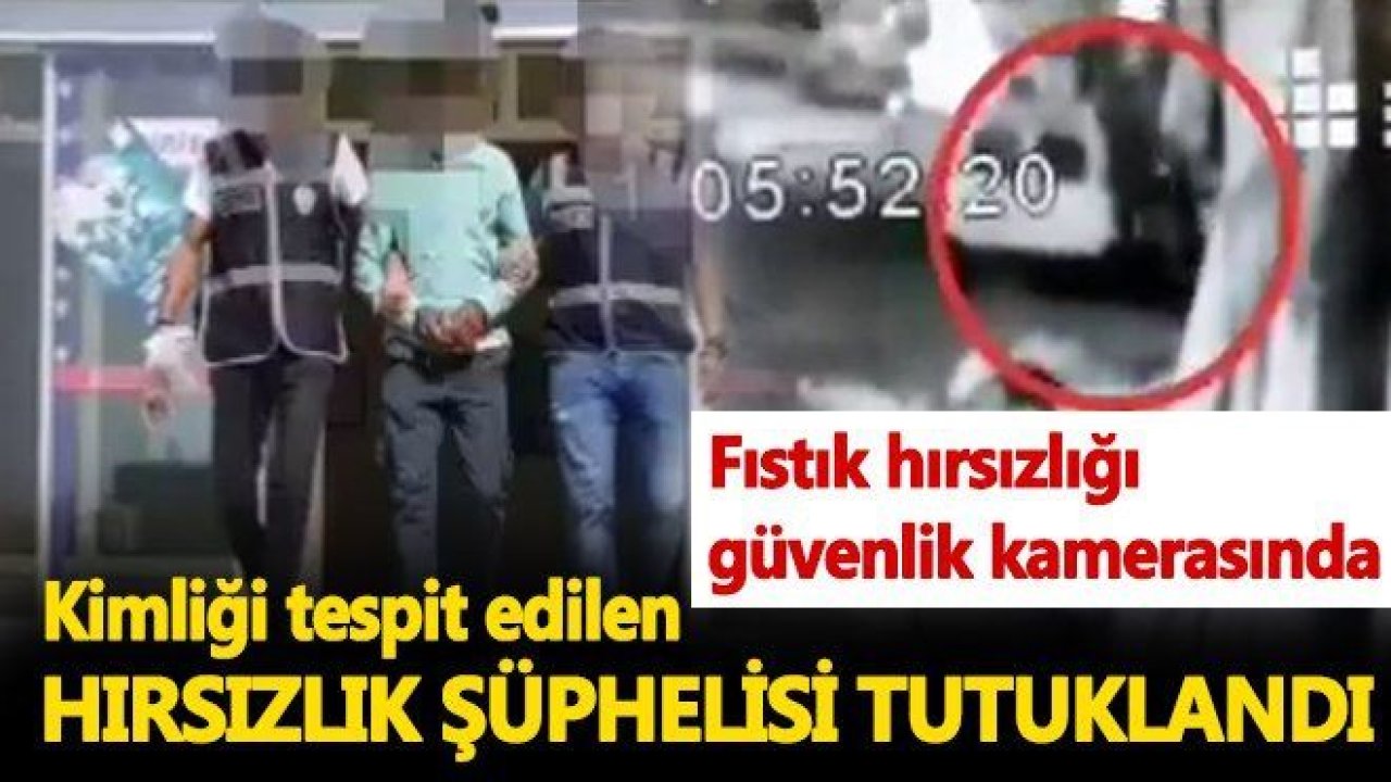 Gaziantep'te fıstık hırsızı tutuklandı