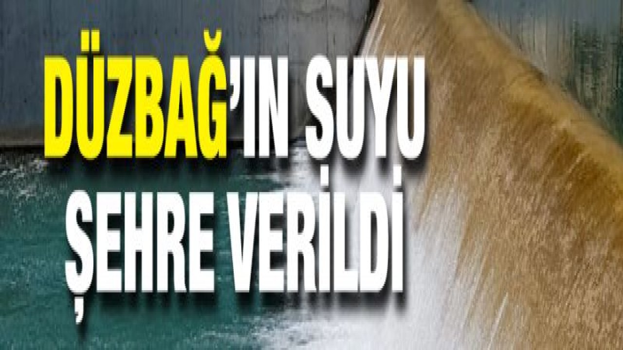 Düzbağ'ın suyu şehre verildi