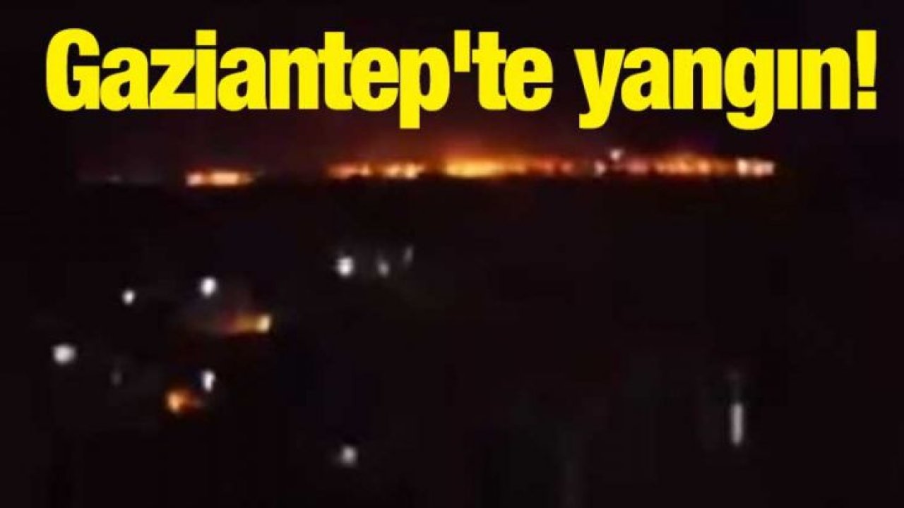 Gaziantep'te yangın!