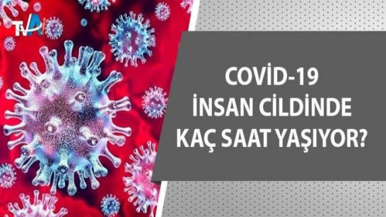 Japon araştırmacılar: 'Covid-19 insan cildinde 9 saat yaşıyor'