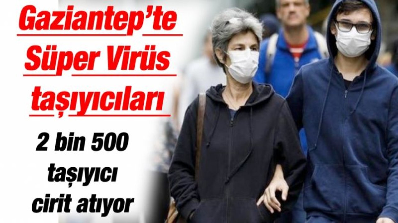 Gaziantep’te Süper Virüs taşıyıcıları... 2 bin 500 taşıyıcı cirit atıyor