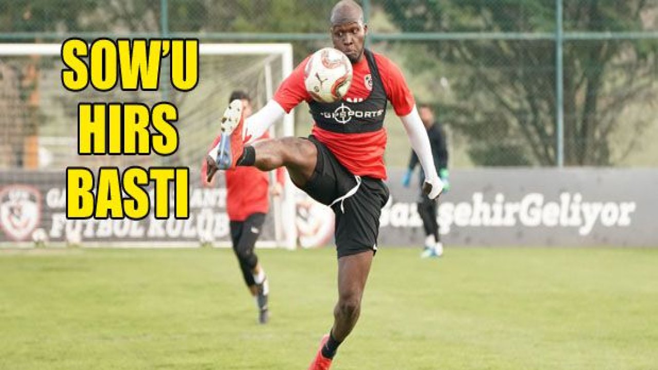 Moussa Sow'u hırs bastı