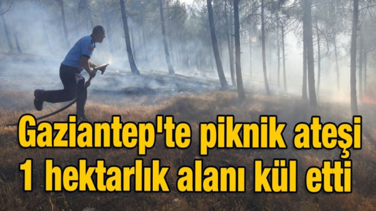 Gaziantep'te piknik ateşi 1 hektarlık alanı kül etti