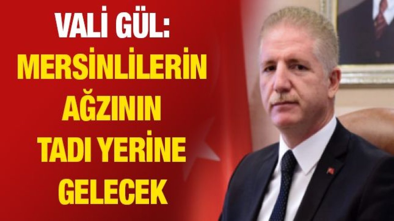 Gül: Mersinlilerin ağzının tadı yerine gelecek