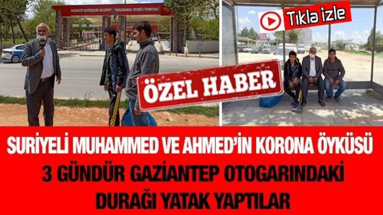 Suriyeli Muhammed ve Ahmed’in Korona öyküsü