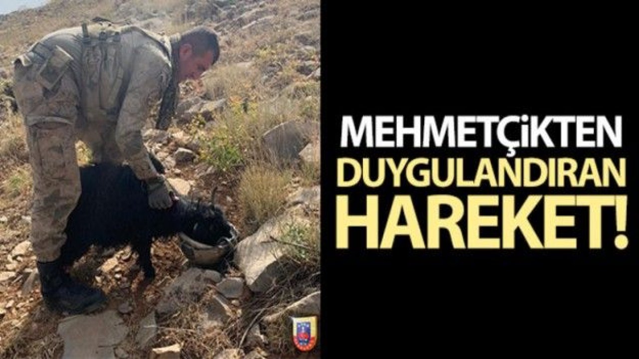 Mehmetçikten duygulandıran hareket