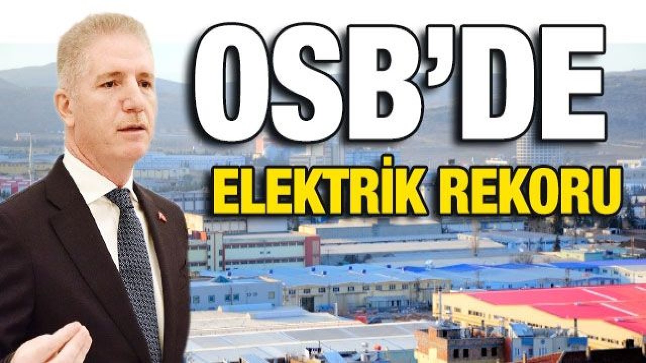 OSB’de elektrik rekoru