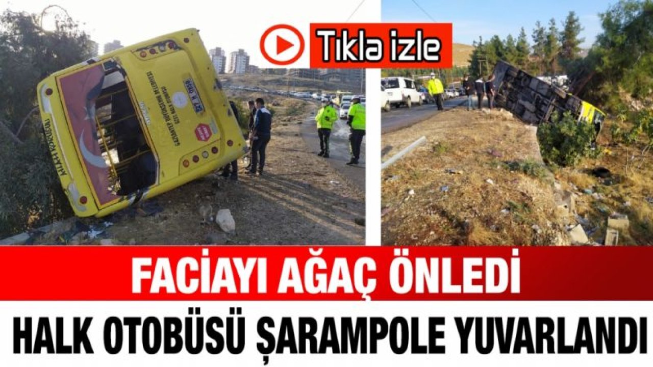 Faciayı ağaç önledi