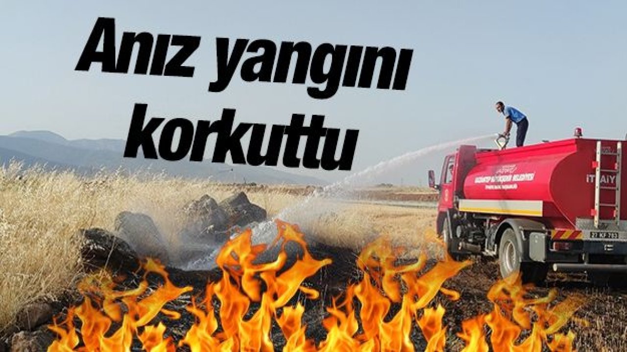 Buğday tarlasındaki anız yangını korkuttu