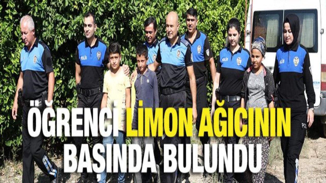 Limon ağacından okula