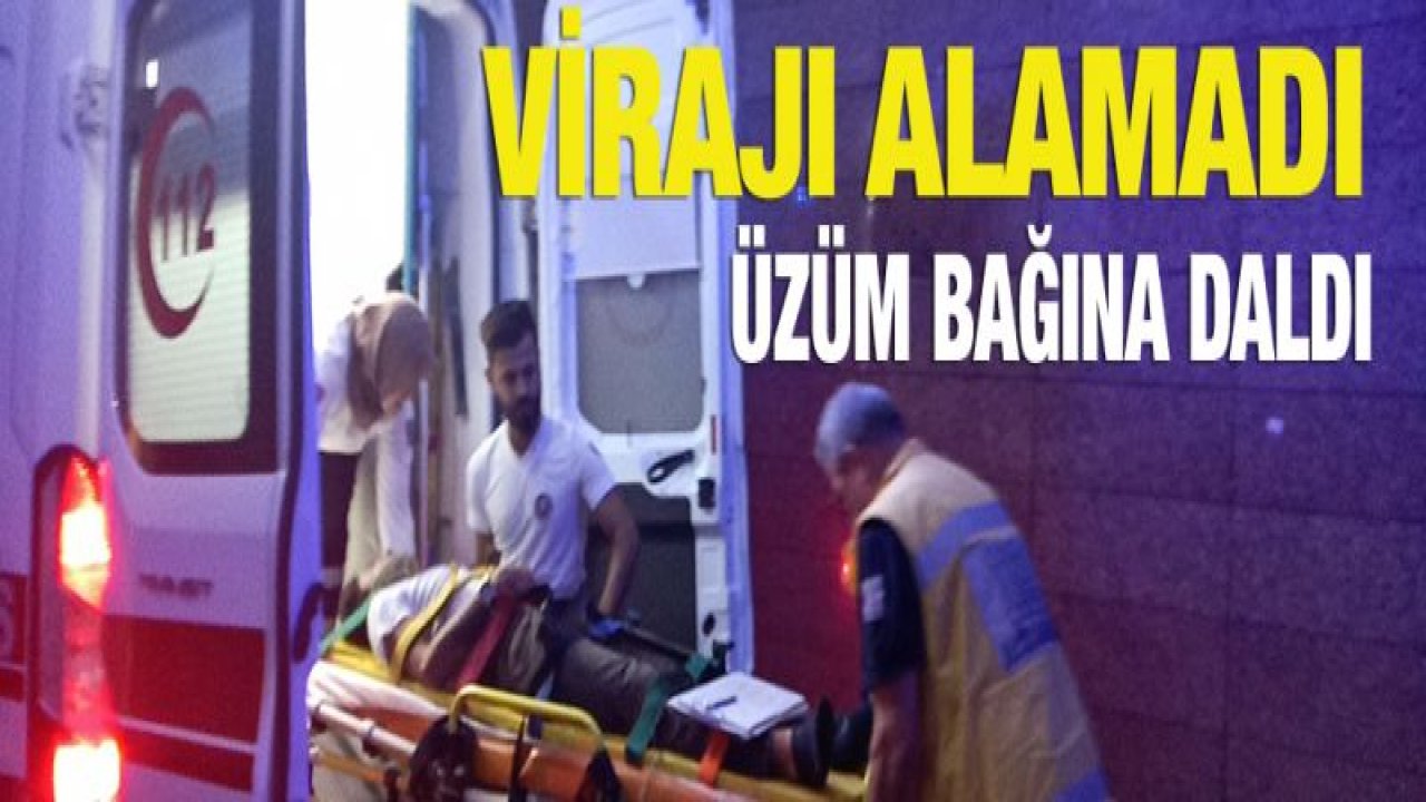 Gaziantep'te otomobil üzüm bağına girdi: 1 yaralı