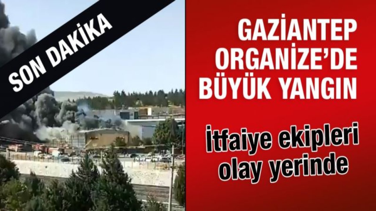 Gaziantep Organize Sanayi Bölgesi'nde büyük yangın!