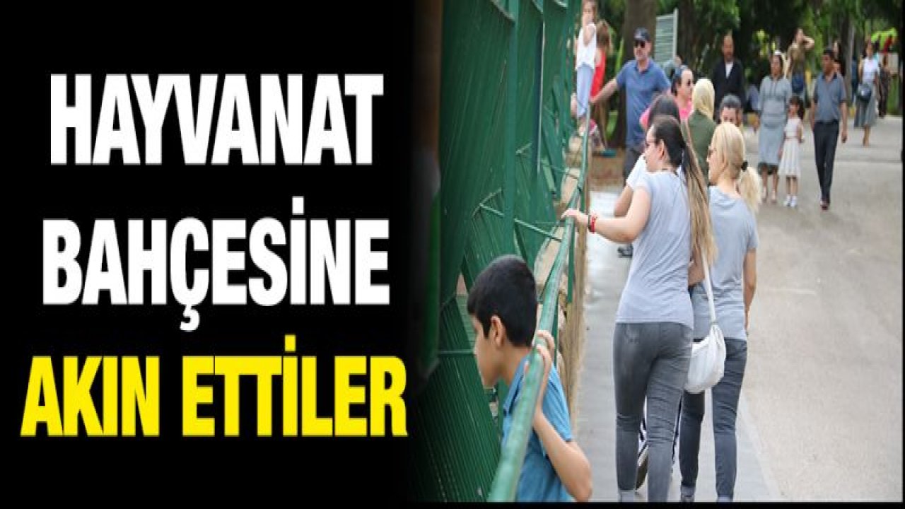 Bayram tatilinde Gaziantep Hayvanat Bahçesi'ne yoğun ilgi