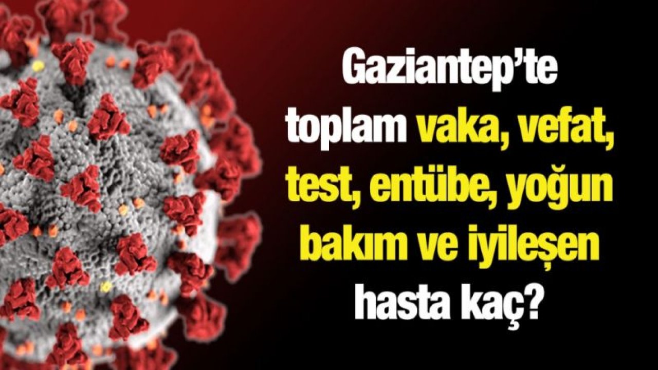 Gaziantep’te toplam vaka, vefat, test, entübe, yoğun bakım ve iyileşen hasta kaç?