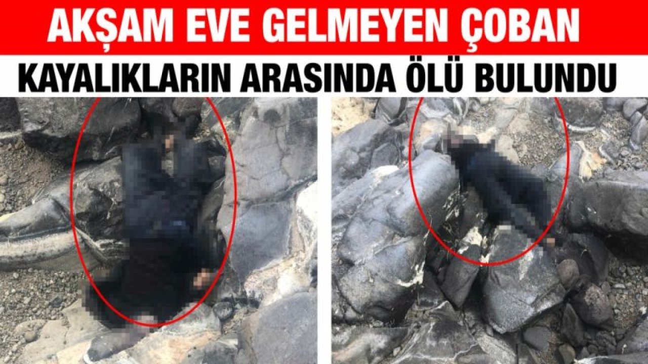 Akşam eve gelmeyen çoban kayalıkların arasında ölü bulundu