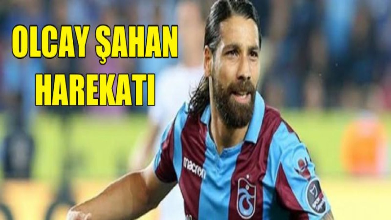 Olcay Şahan harekatı!