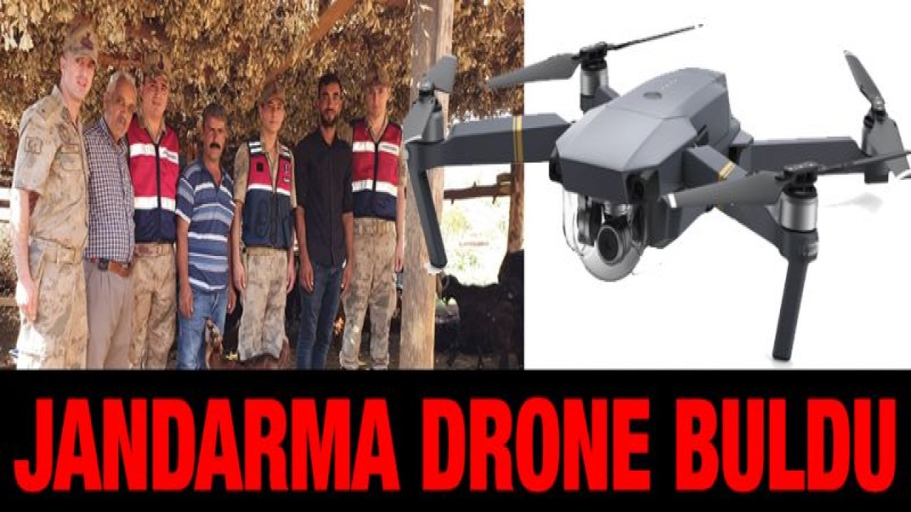 Kaybolan küçükbaş hayvanlar drone yardımı ile bulundu